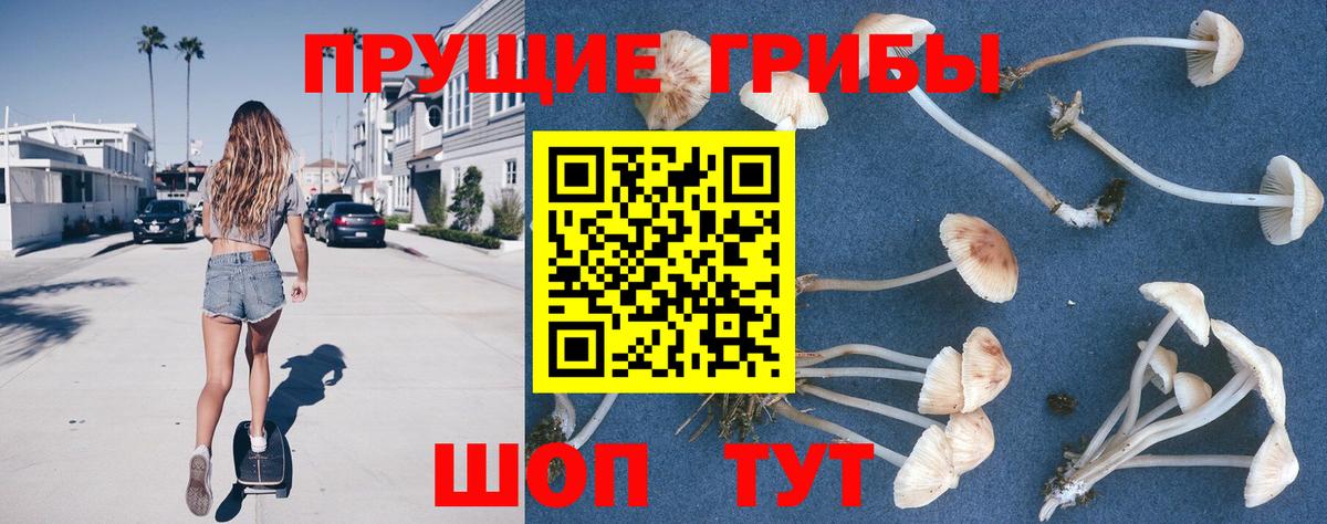Галлюциногенные грибы мицелий  закладка  Серпухов  Вход с VPN  Галлюциногенные грибы мицелий 